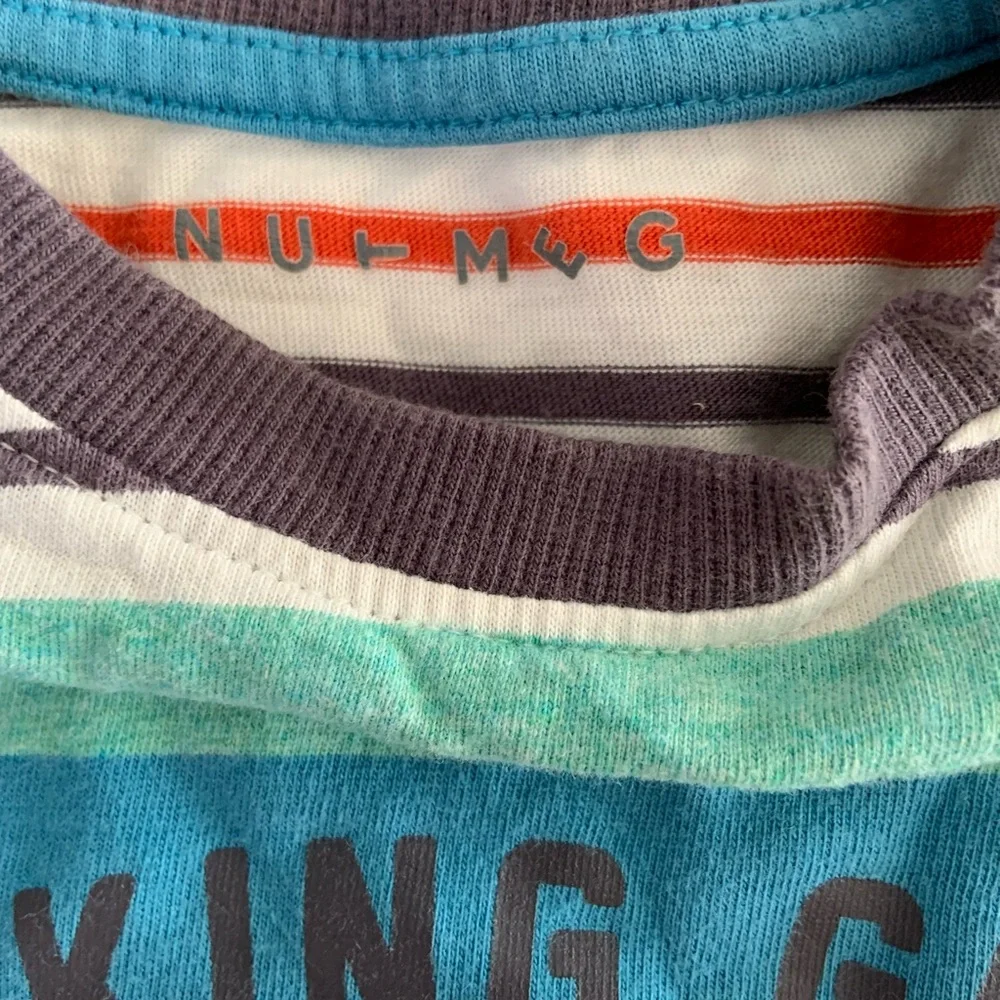 😊FREE😊 Nutmeg Blue and Green Striped Short Sleeve Tee - Picture 3 of 4